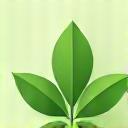 Eco-Friendly Icon showing a leaf